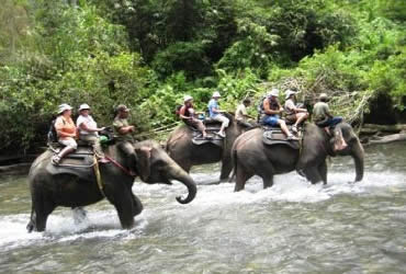 Bali Elephant Ride and Kintamani Tour | Bali Combination Tour | Bali Golden Tour