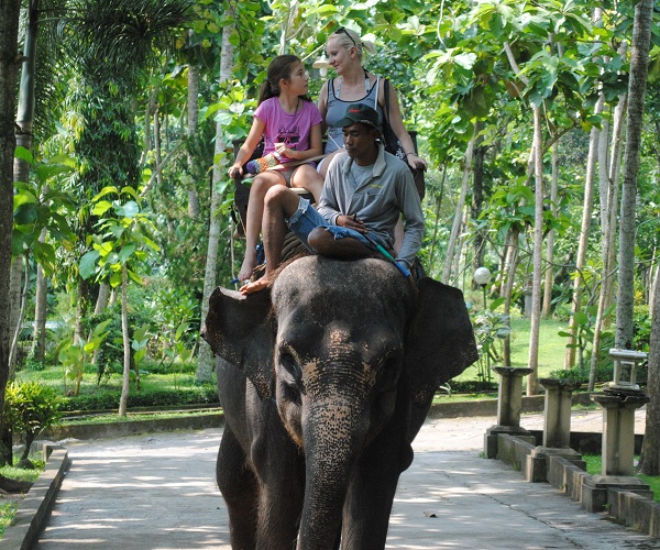 Bali Bakas Elephant Ride | Bali Elephant Ride Tour | Bali Golden Tour