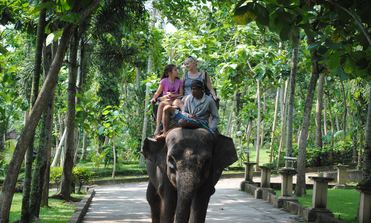 Bakas Elephant Ride | Bali Elephant Ride Tour | Bali Golden Tour