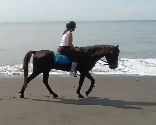Bali Horse Riding and Spa Packages Tour | Bali Double Activities Tour Packages | Bali Golden Tour