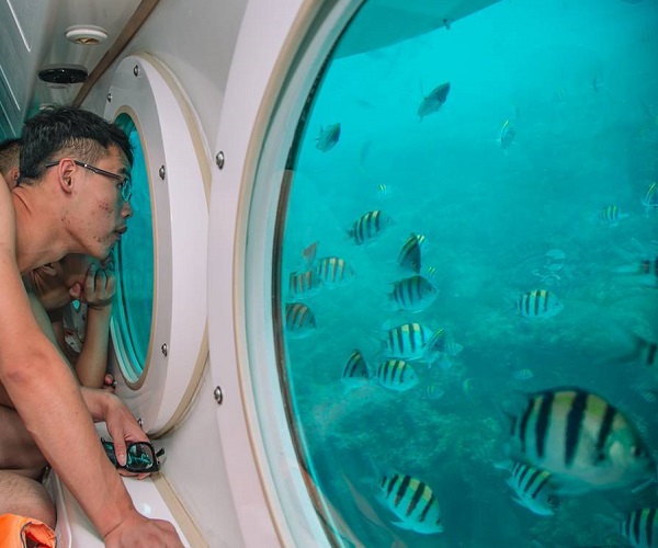 See Marine Life from Odyssey Submarine | Bali Activities Tours | Bali Golden Tour