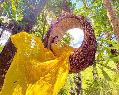 Desa Swing | Hanging Bird Nest | Bali Golden Tour