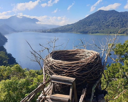 Bird Nest -  - Wanagiri Hidden Hill