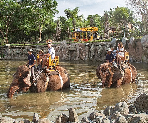 Bali Zoo Elephant Ride | Bali Zoo Park
