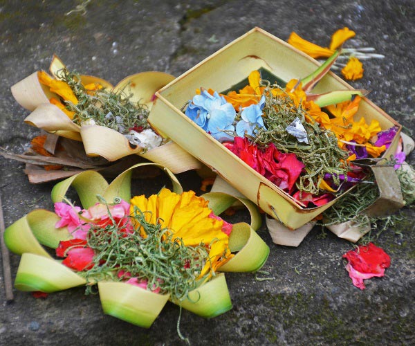 Offering Banten Canang Sari | Balinese Hindu Offerings | Bali Golden Tour