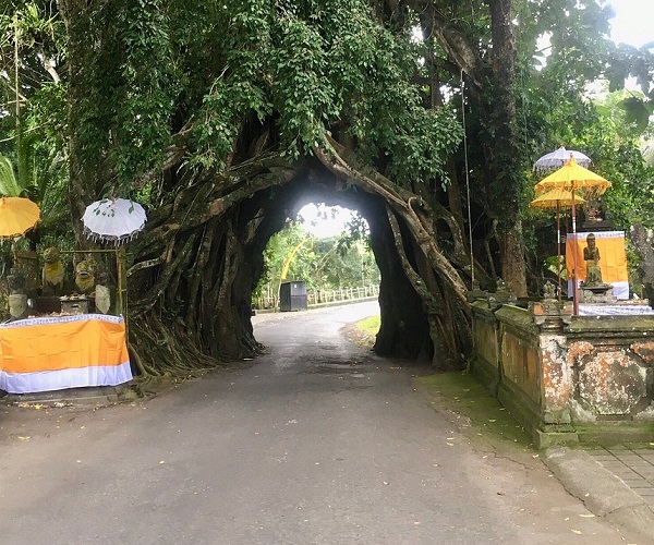 Bunut Bolong Bali | Bali Golden Tour