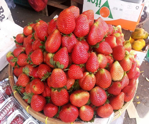 Candi Kuning Market - Strawberries