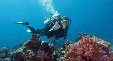 Bali Diving Tour | Bali Activities Tours | Bali Adventure Activity | Bali Golden Tour