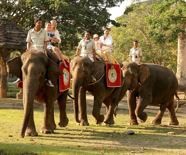 Bali Safari Marine Park | Elephant Back Safari Ride | Bali Golden Tour