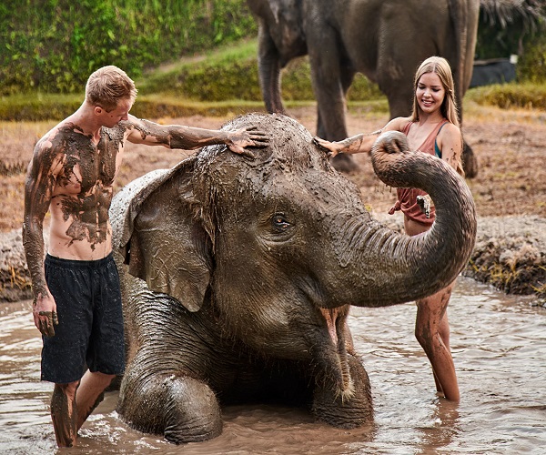 Elephant Mud Fun | Bali Zoo Park