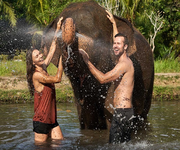 Elephant Mud Fun | Bali Zoo Park