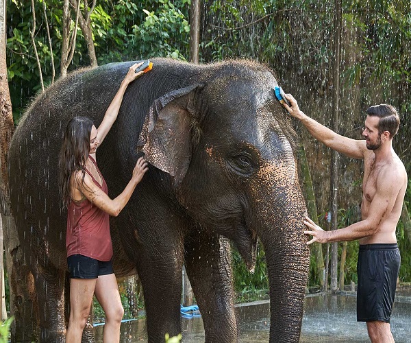 Elephant Mud Fun | Bali Zoo Park