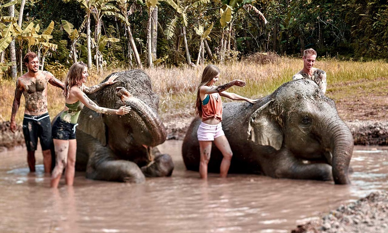 BALI ELEPHANT MUD FUN | BALI ZOO PARK | BALI GOLDEN TOUR