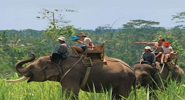 Bali Elephant Ride and Uluwatu Tour | Bali Elephant Ride Tour | Bali Golden Tour