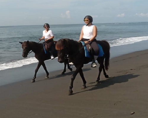 Bali Horse Riding Tour | Bali Horse Riding and Elephant Ride Tour | Bali Golden Tour