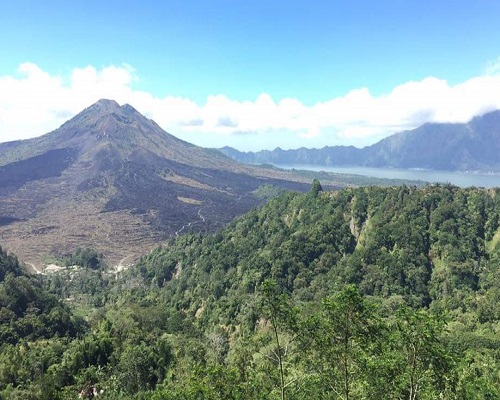 Bali Safari Park and Kintamani Tour | Kintamani Village for Mount Batur Volcano and Lake Batur View | Bali Golden Tour