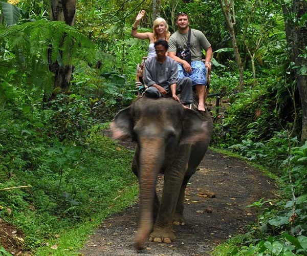 Ride Elephant In Jungle | Bali Elephant Ride Tour