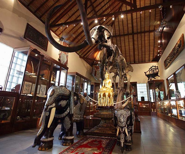 Elephant Museum | Bali Elephant Ride Tour
