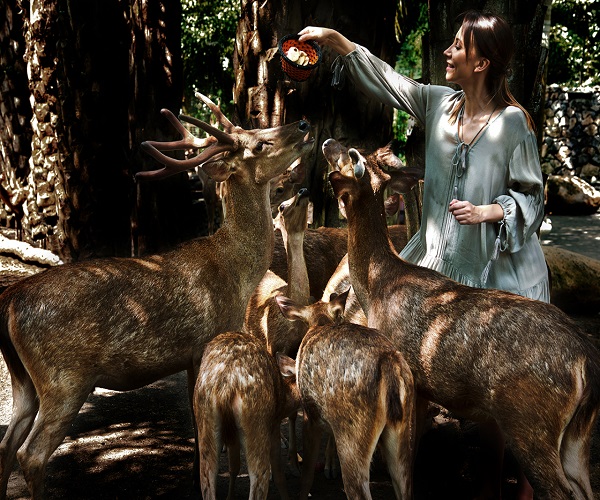 Feed The Animal | Night at The Zoo | Bali Zoo Park