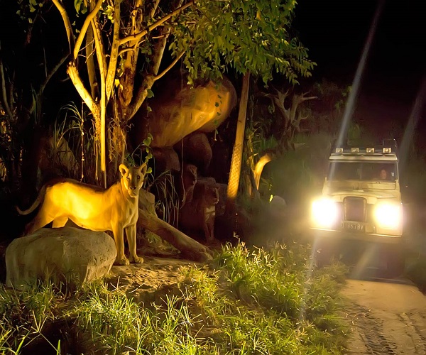 See the Animal via Shuttle | Night Safari Packages | Bali Golden Tour