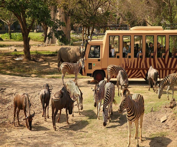 See the Animal via Shuttle | Jungle Hopper Packages | Bali Golden Tour