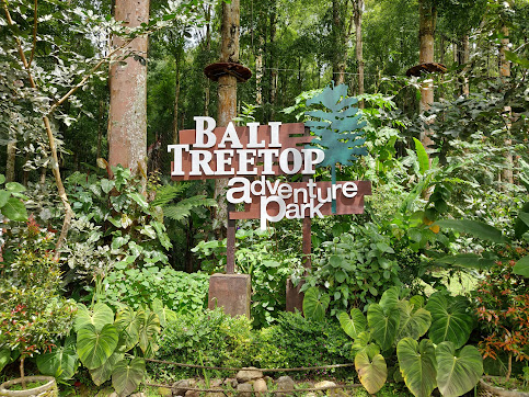 Bali Treetop Adventure | Bali Activities Tours | Bali Adventure Activity | Bali Golden Tour